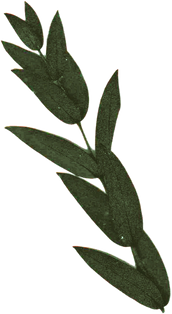 Thanksgiving Collage Element